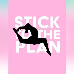 Book-Stick to the Plan Ultimate Journal